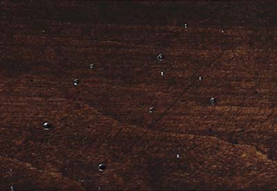 Renaissance Java Distressed on Maple